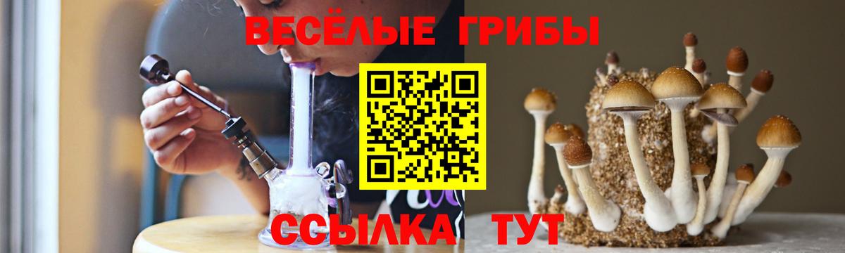 Люберцы  Галлюциногенные грибы Magic Shrooms  Галлюциногенные грибы Psilocybine cubensis  купить  сайты  Вход с VPN 